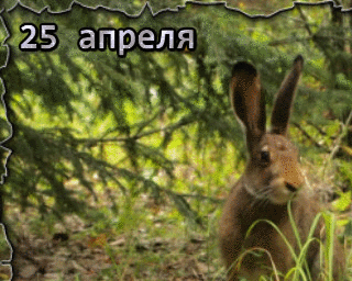25 апреля — Василий-парильщик 25 апреля — Василий-парильщик