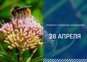 28 апреля — Пудов день 28 апреля — Пудов день