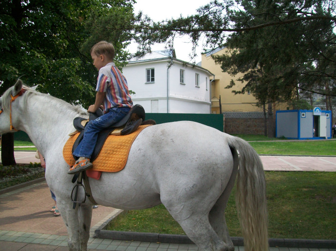 bf8ac338