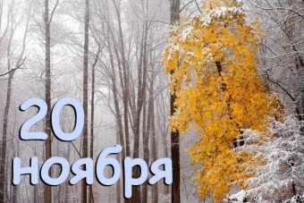 20 ноября &mdash; Федот Ледостав