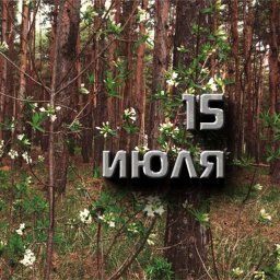 15 июля &mdash; Берегиня