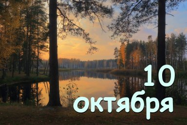 10 октября &mdash; Савватий-пчеловод