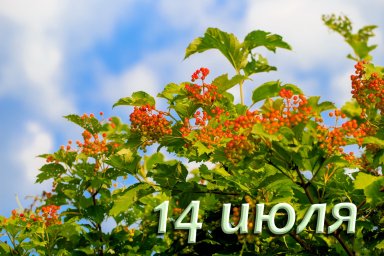 14 июля &mdash; Кузьма и Демьян