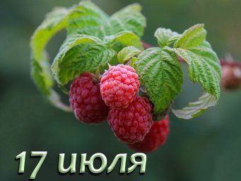 17 июля &mdash; Андрей Налива