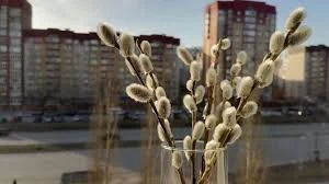 Вербное воскресенье