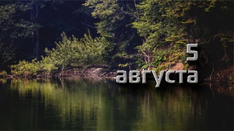 5 августа &mdash; Трофим Бессонник