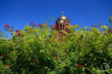 6 июня &mdash; Симеон Столпник