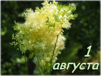 1 августа &mdash; Макринин день
