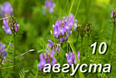 10 августа &mdash; Прохоры-Пармены